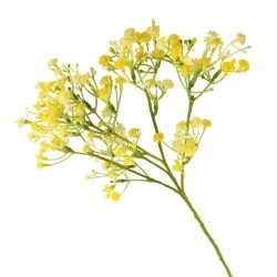Artificial Gypsophila | Yellow Baby's Breath 46cm - G029 HH3
