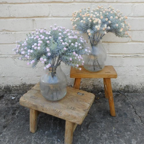 Gypsophila Peach Short Stem 32cm - G026 G3