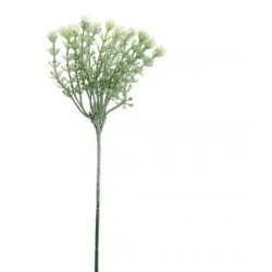 Gypsophila Ivory Short Stem 32cm - G045 R2