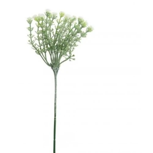Gypsophila Ivory Short Stem 32cm - G045 R2