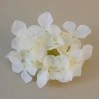 Artificial Hydrangeas Ivory Heads Only 11cm - H063 EE2
