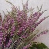 Artificial Heather Plants Purple 54cm - H004 