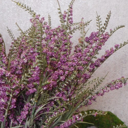 Artificial Heather Plants Purple 54cm - H004 