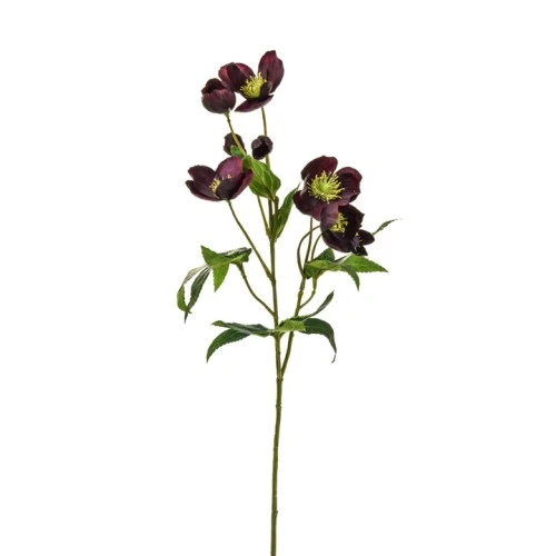 Artificial Helleborus Christmas Roses Burgundy 55cm - H132 