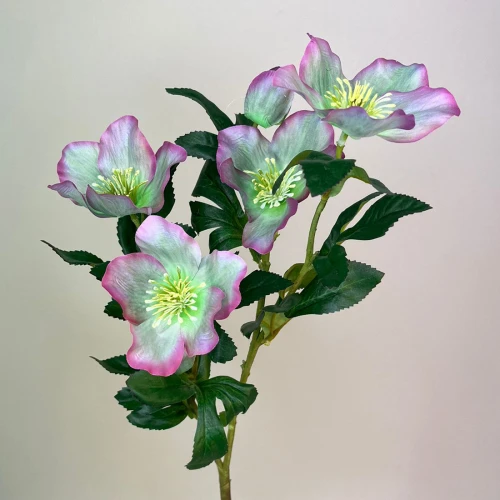 Artificial Hellebores Stem Pink and Green 65cm - H110 G2