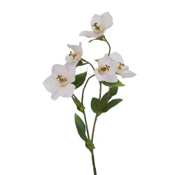 Artificial Helleborus Christmas Roses Blush Pink 45cm - H201 FF3