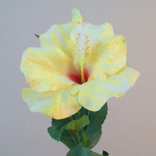 Artificial Hibiscus Flower and Bud Yellow 62cm - H048 
