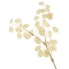 Artificial Honesty Stem Cream 78cm - HON001 S4