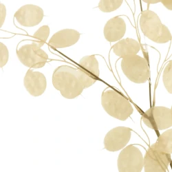 Artificial Honesty Stem Cream 78cm - HON001 S4