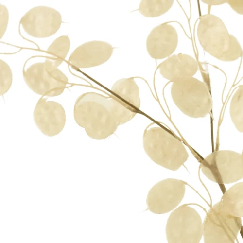 Artificial Honesty Stem Cream 78cm - HON001 S4