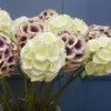 Artificial Honeycomb Flowers Purple 58cm - H053 H4