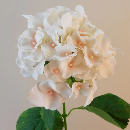 Luna Artificial Hydrangea Coral Pink 75cm - H162 C1