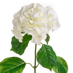 Luna Artificial Hydrangea Ivory 75cm - H164 H4