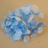 Artificial Hydrangeas Blue Heads Only 11cm - H085 
