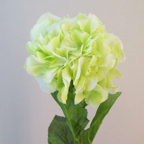 Artificial Hydrangeas Candy Crush Green 71cm - H135 F4