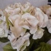 Artificial Hydrangeas Cream Beige 68cm - H114 F4