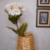 Artificial Hydrangeas Cream Beige 68cm - H114 F4