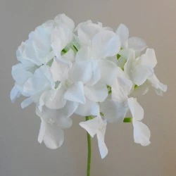 Artificial Hydrangea Cream 62cm - H016 H1