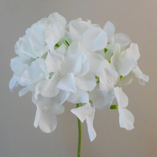 Artificial Hydrangea Cream 62cm - H016 H1
