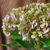 Artificial Hydrangeas Green Lavender 68cm - H013 H1