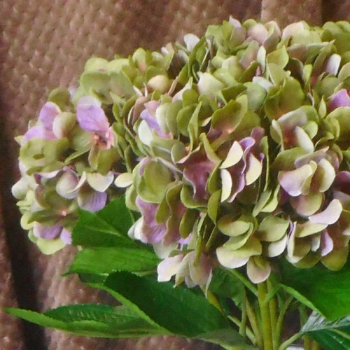 Artificial Hydrangeas Green Lavender 68cm - H013 H1