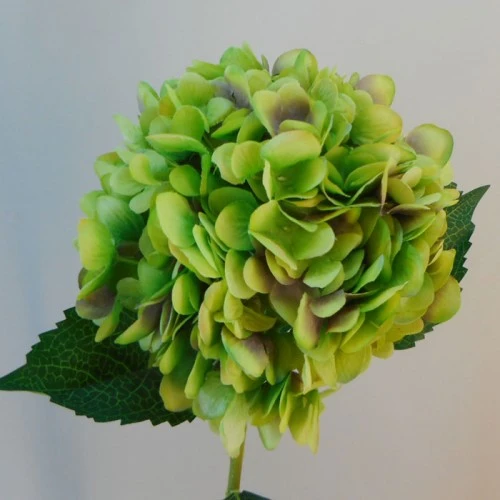 Silk Hydrangeas Green 81cm - H096 G4