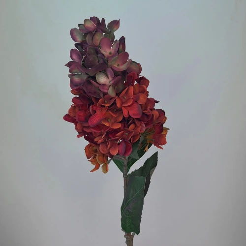 Red Orange Spear Hydrangea 75cm - H043 H1