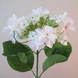 Large Silk Lacecap Hydrangeas White with a hint of Pink 74cm - H011 G4
