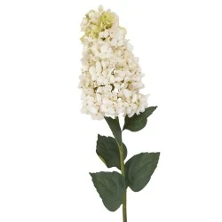 Cream Spear Hydrangea 88cm - H010 BX21