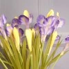 Silk Iris Purple 2 Flowers 63cm - IR002 I2