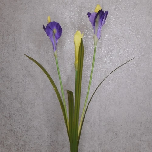Silk Iris Purple 2 Flowers 63cm - IR002 I2