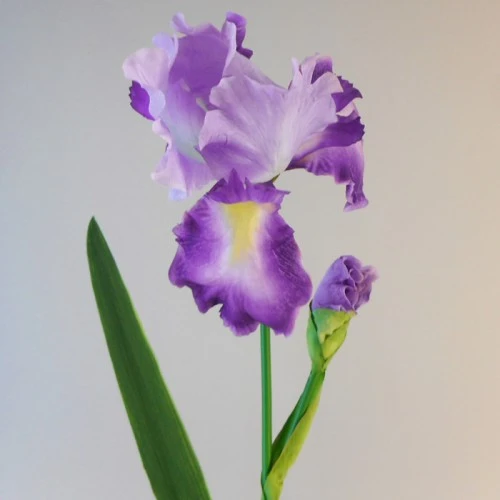 Luxury Flag Iris and Bud Purple 90cm - IR008 P1