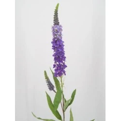 Artificial Lavender Veronica Purple - LA004 GG2
