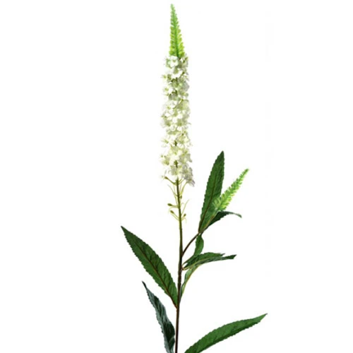 Artificial Lavender Veronica Cream - LA005 I3