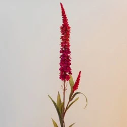 Artificial Lavender Veronica Red - LA016 H3