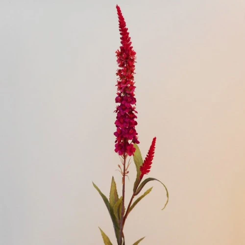Artificial Lavender Veronica Red - LA016 H3