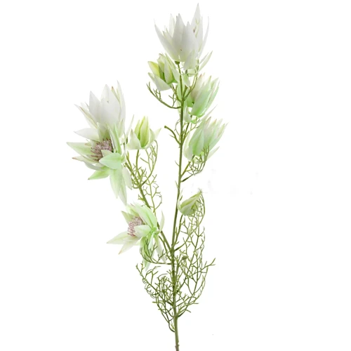 Artificial Leucadendron Green 68cm - L054 I1