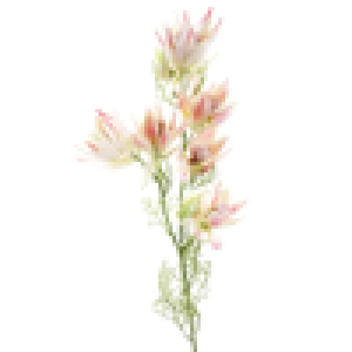 Artificial Leucadendron Pink 68cm - L055 I1