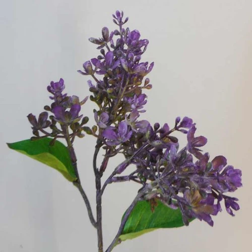 Short Stem Artificial Lilac Blossom Purple 37cm - L030 KK3