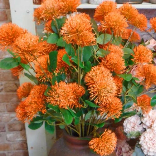 Fireball Lily Orange 73cm - L091 AA3