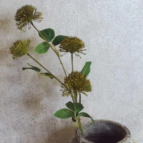 Fireball Lily Olive Green 73cm - L047 AA1