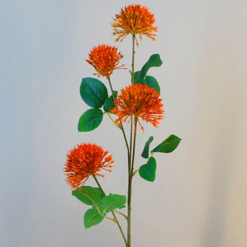 Fireball Lily Orange 73cm - L091 AA3