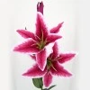 Silk Stargazer Lily Hot Pink 85cm - L013 BB2