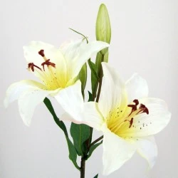 Silk Tiger Lilies Ivory 77cm - L009 I1
