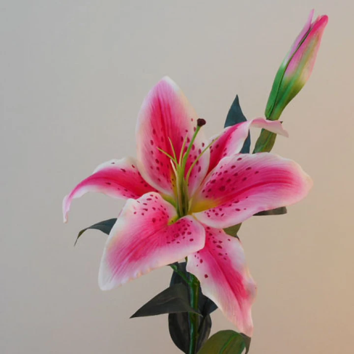 Lilies