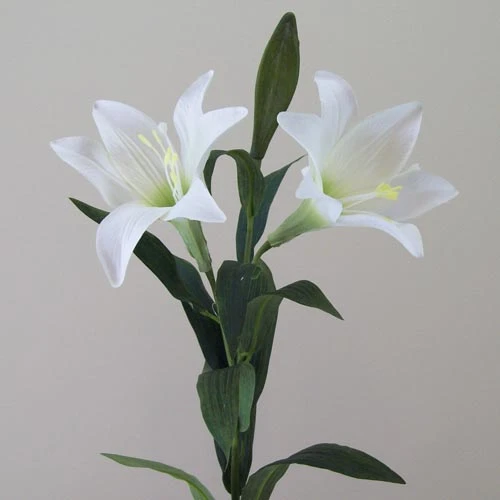Silk Easter Lilies (Lilium Longiflorum) 80cm - L113 J2