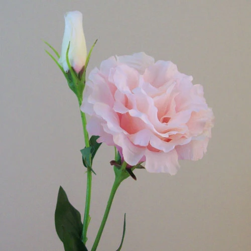 Artificial Double Lisianthus Candy Crush Pink 62cm - L160 E4