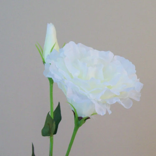 Artificial Double Lisianthus Ivory 62cm - L161 I4
