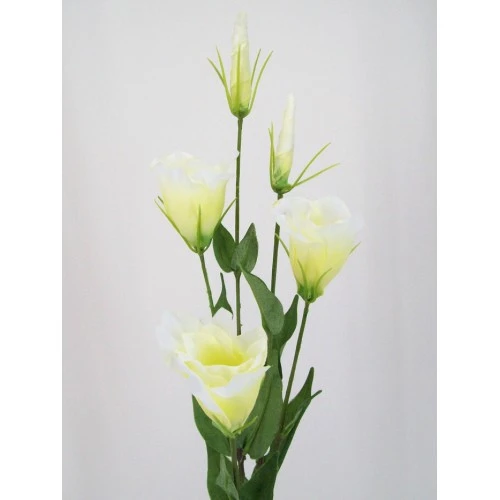 Artificial Lisianthus Cream 80cm - L017B H4