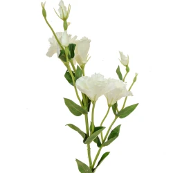 Artificial Eustoma Lisianthus Cream 80cm - L158